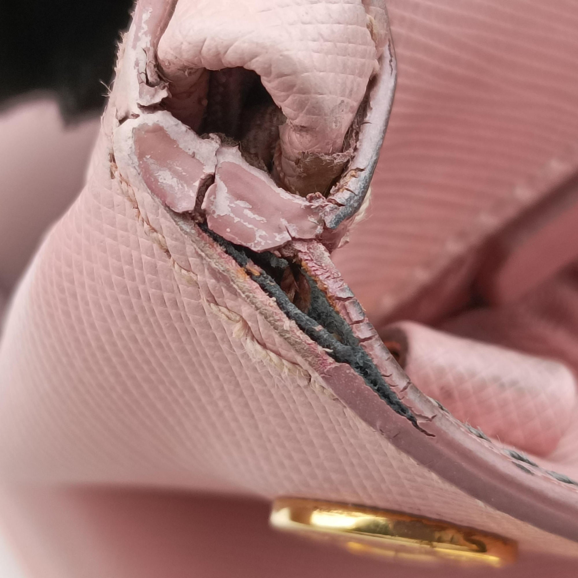 Galleria Pink SAFFIANO Leather BN1786 180ガレリア ピンク サフィアーノレザー BN1786 180
