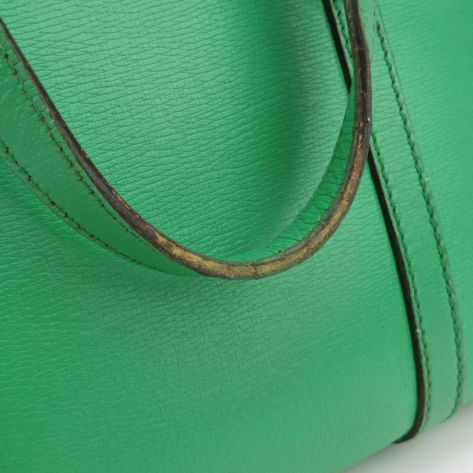 Microguccissima Green Leather 309617 A013850063マイクログッチシマ グリーン レザー 309617 A013850063