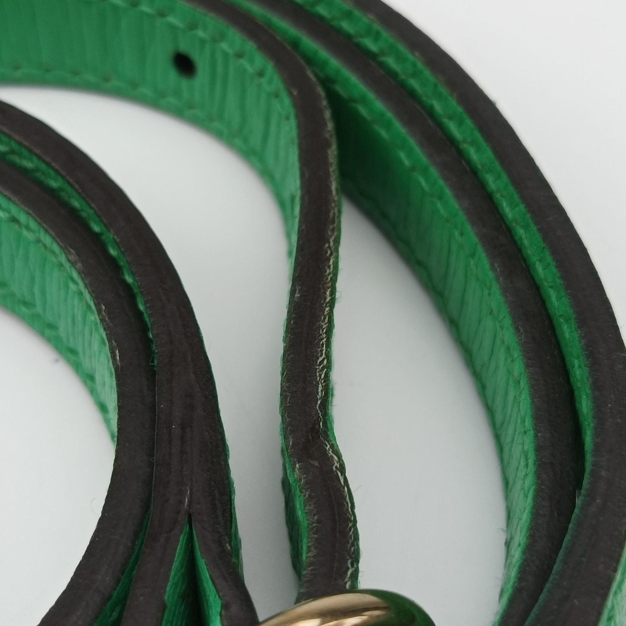Microguccissima Green Leather 309617 A013850063マイクログッチシマ グリーン レザー 309617 A013850063