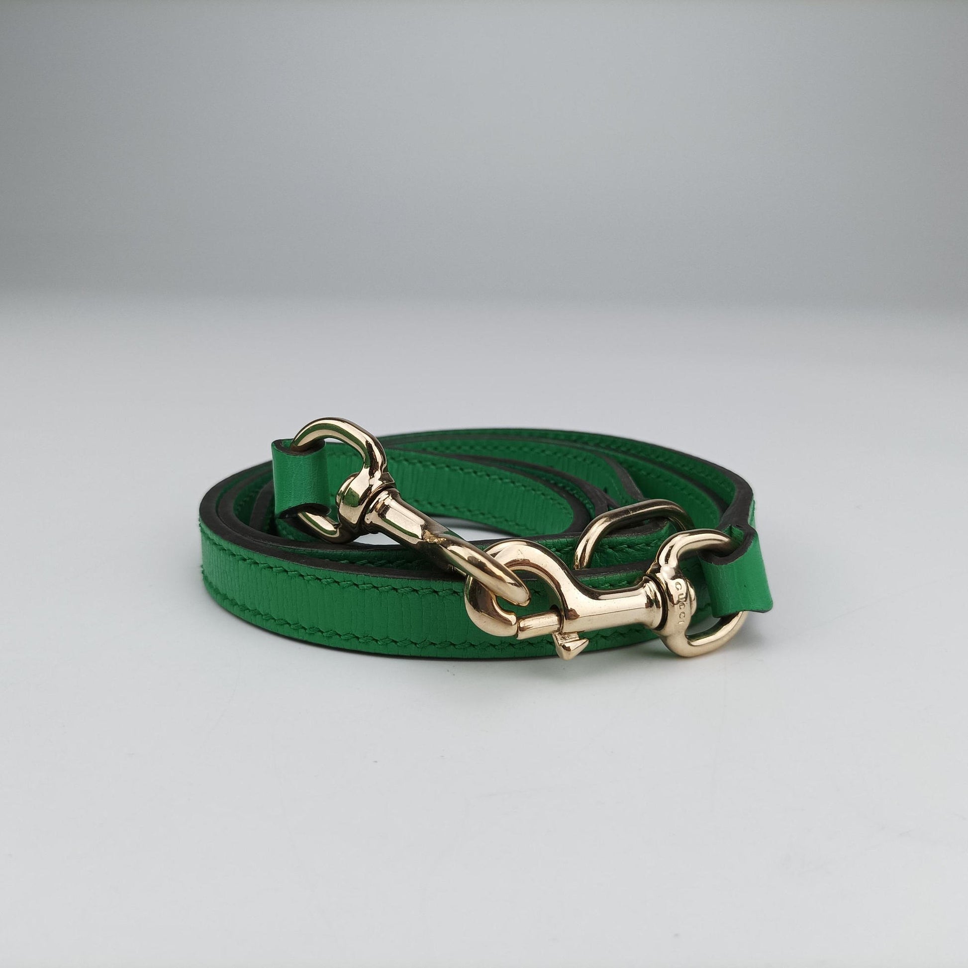 Microguccissima Green Leather 309617 A013850063マイクログッチシマ グリーン レザー 309617 A013850063