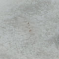 Re-Edition2000 White Terry cloth 1NE515 31/A3リ エディション2000トート ホワイト タオル地 1NE515 31/A3
