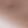 SILVANA Brown × Beige Leather 8BN234 8BN234-FKD 119-2546シルヴァーナ ブラウン × ベージュ レザー 8BN234 8BN234-FKD 119-2546