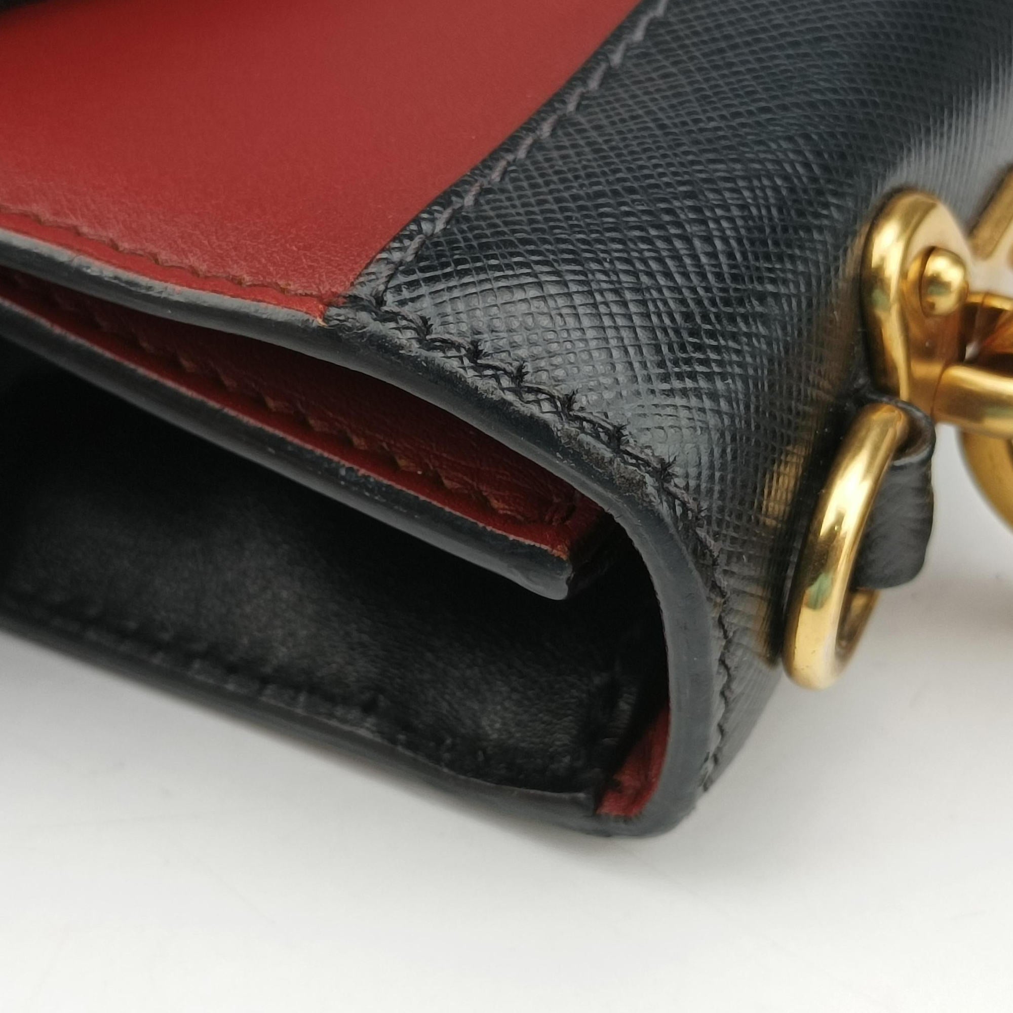 Animalier Cahier Lions Head Black×Red Leather 1BD089 25カイエ ライオンヘッド ブラック×レッド レザー 1BD089 25