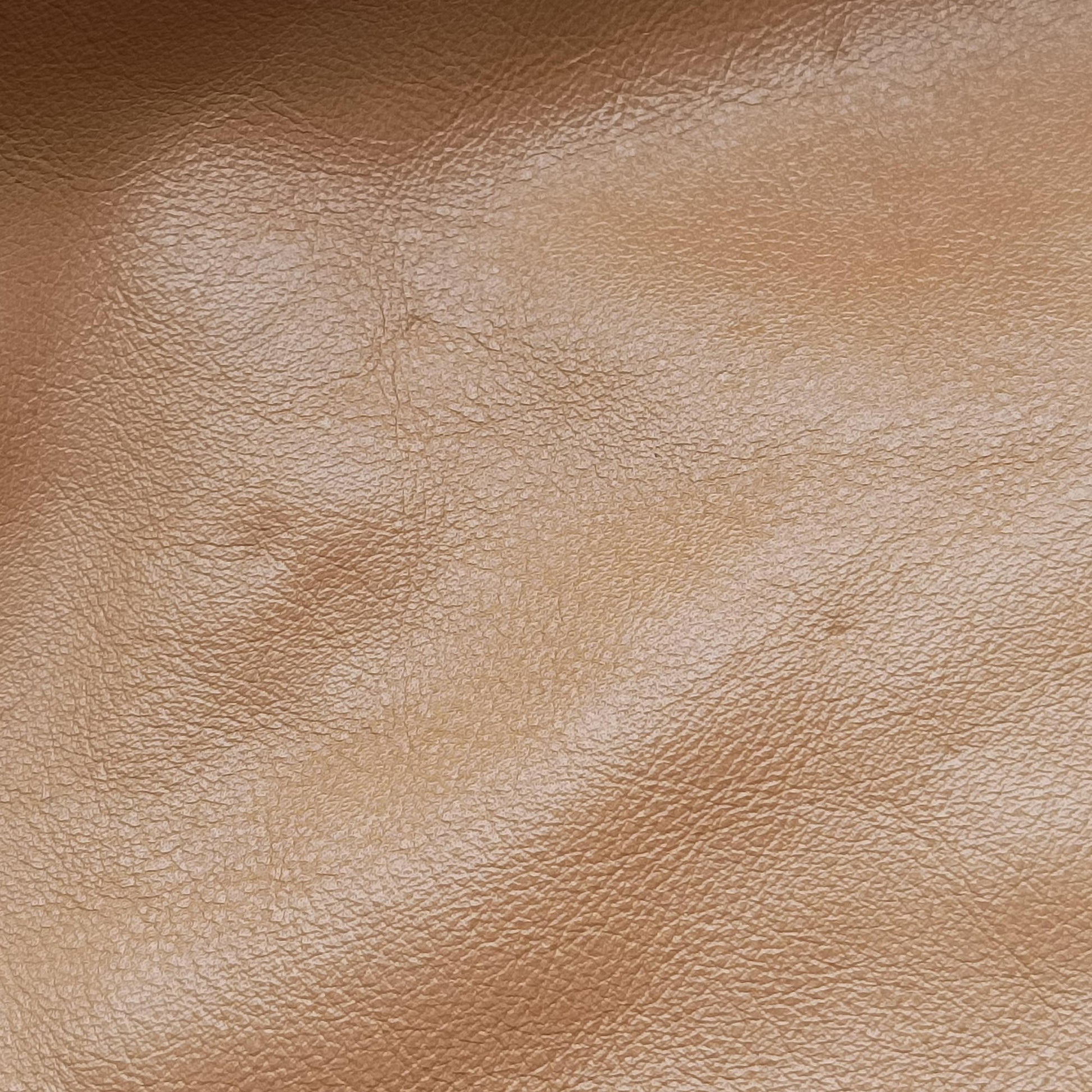 Dialux Britt Hobo Beige leather 167732 ディアラックス ブリット ホーボー ベージュ レザー 167732 