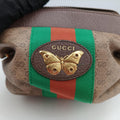 New Candy Brown PVC coated canvas 564582 ニュー キャンディ ブラウン PVCコーティングキャンバス 564582 
