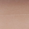 Teen Triomphe White PVC coated canvas U-CE-0231ティーン トリオンフ ホワイト PVCコーティングキャンバス U-CE-0231