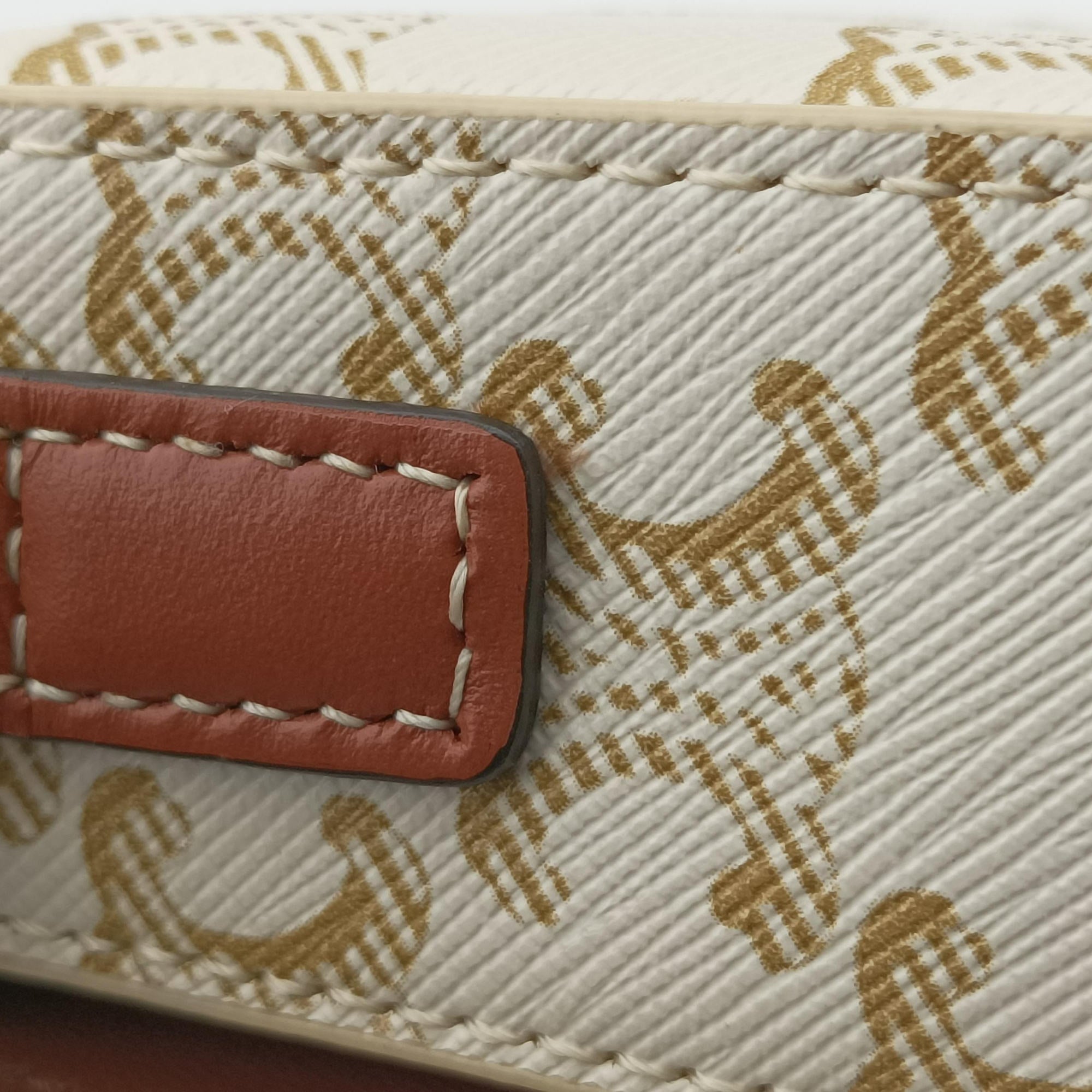 Teen Triomphe White PVC coated canvas U-CE-0231ティーン トリオンフ ホワイト PVCコーティングキャンバス U-CE-0231