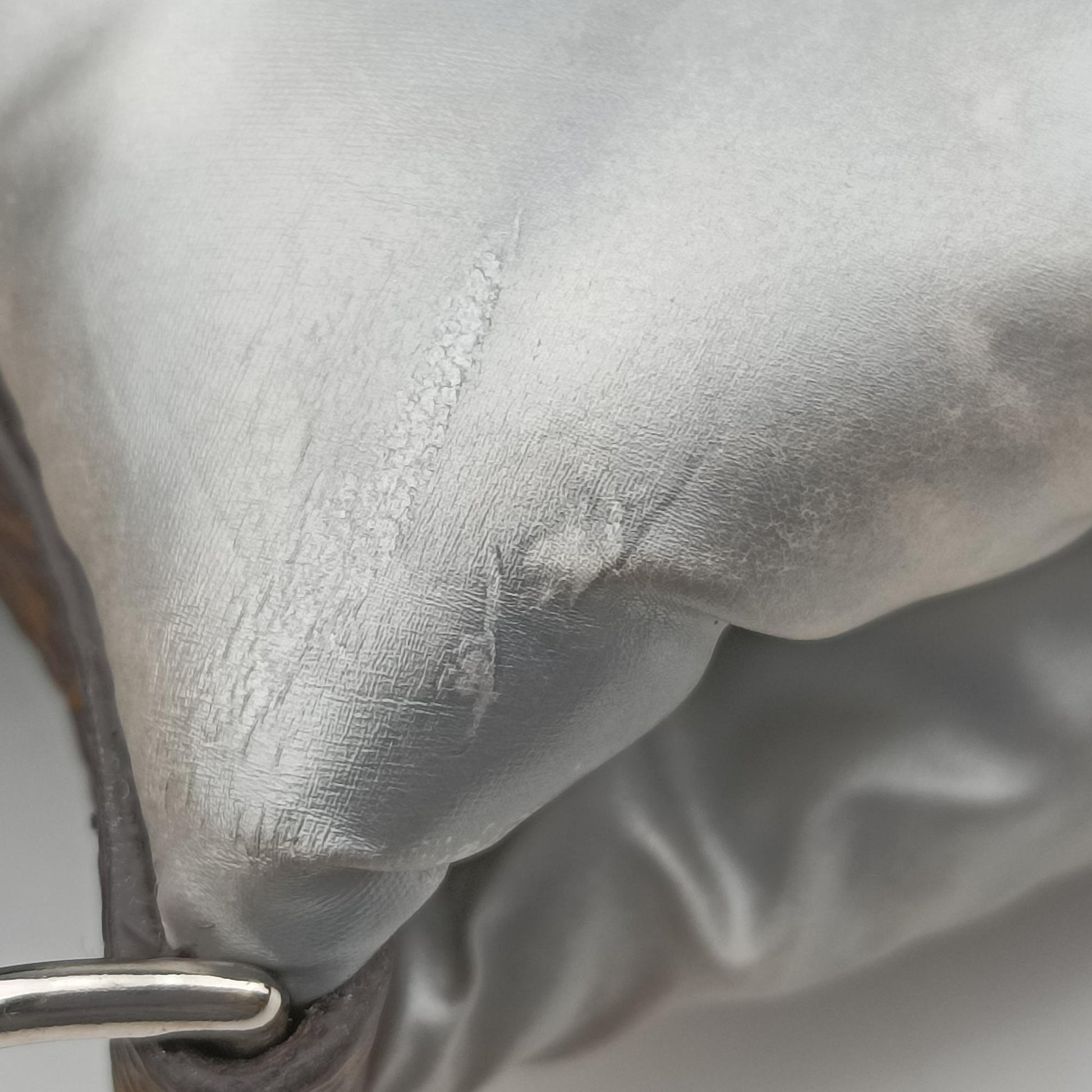Maxi Multi Pochette Accessoires Silver Recycled metallic nylon M21057 IC Chipマキシ ミュルティ ポシェット アクセソワール シルバー リサイクル メタリック ナイロン M21057 ICチップ