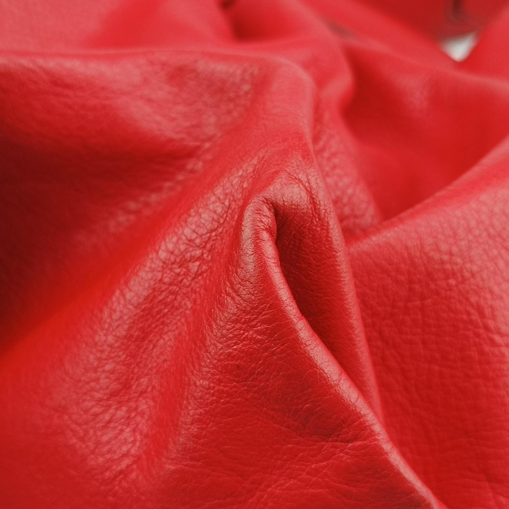 Toile de Cuir Red Leather 8BR579 2305/8BR579/YR2/098トワル ド キュイール レッド レザー 8BR579 2305/8BR579/YR2/098