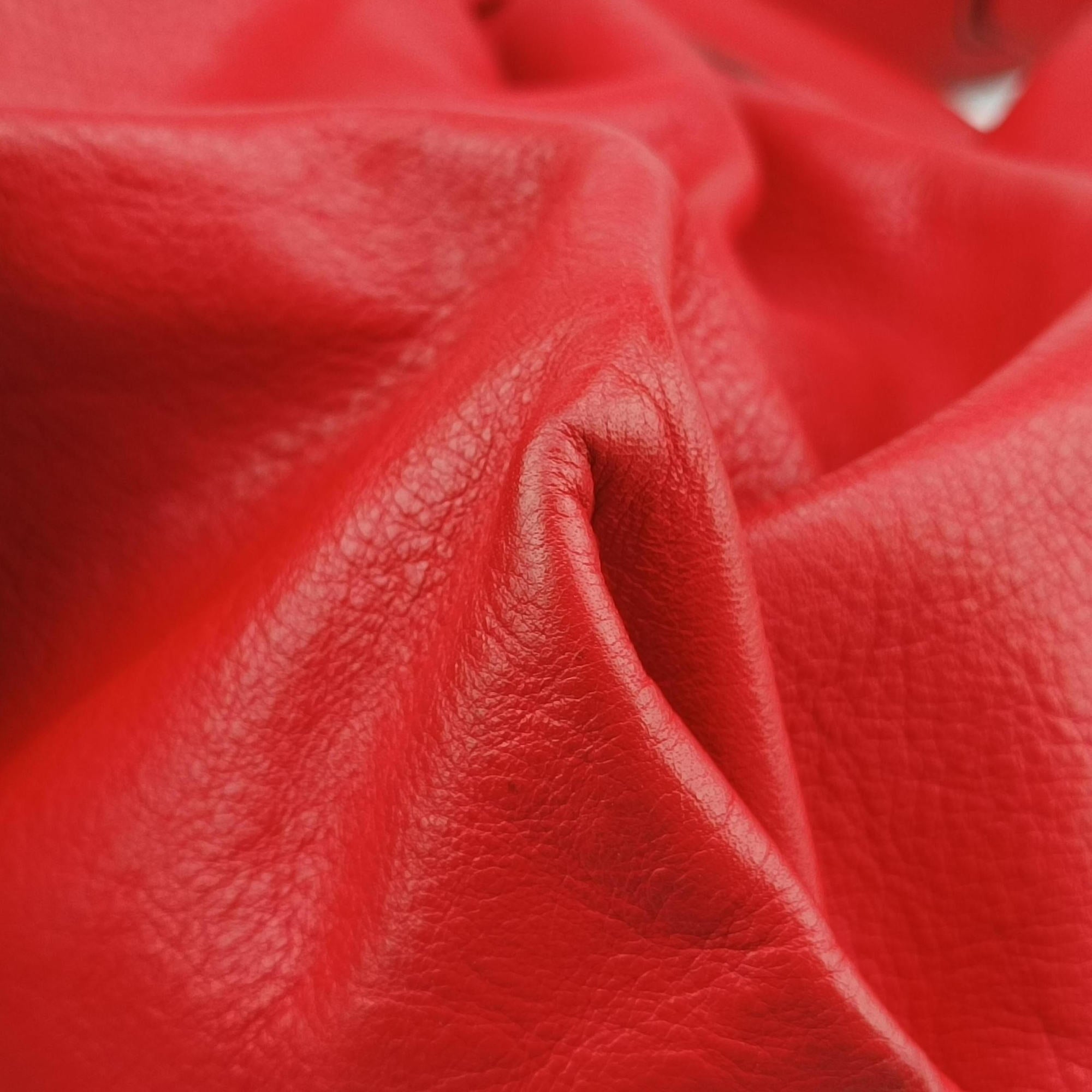 Toile de Cuir Red Leather 8BR579 2305/8BR579/YR2/098トワル ド キュイール レッド レザー 8BR579 2305/8BR579/YR2/098