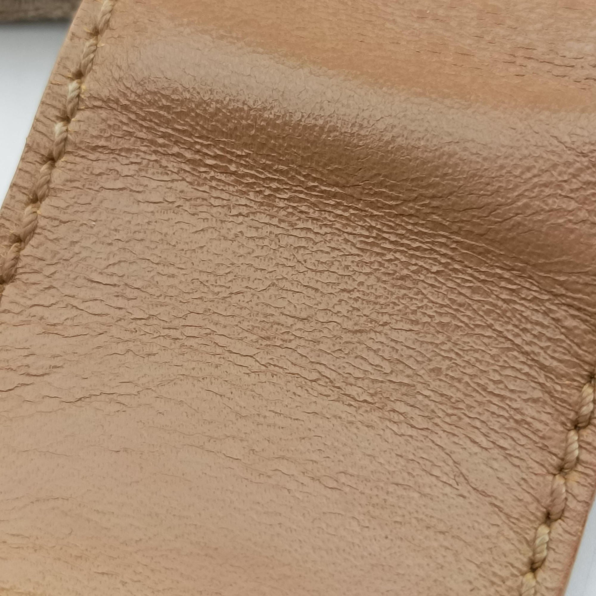 Zucchino Beige canvas 8BR036 2305/8BR036/LPN/058ズッキーノ柄 ベージュ キャンバス 8BR036 2305/8BR036/LPN/058