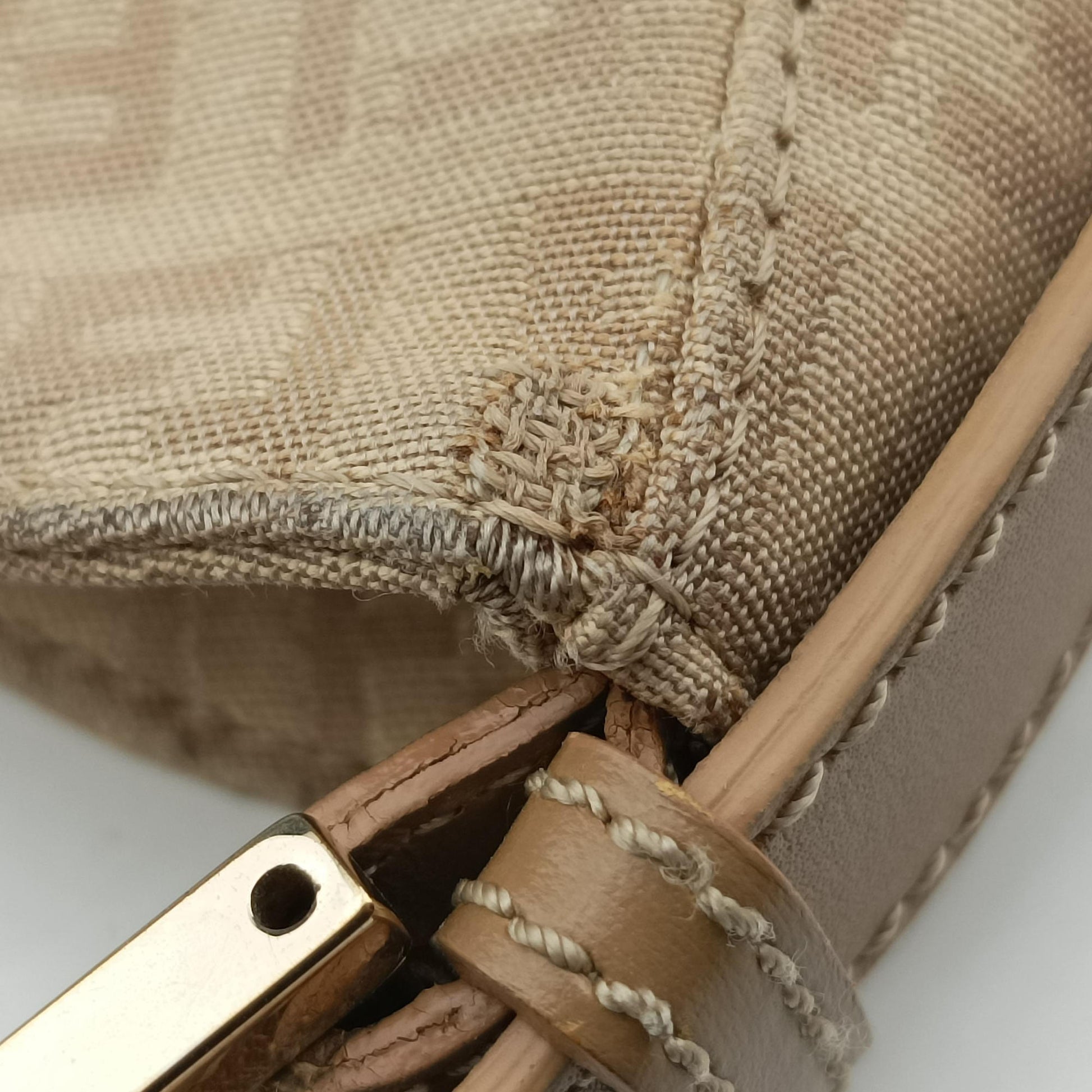 Zucchino Beige canvas 8BR036 2305/8BR036/LPN/058ズッキーノ柄 ベージュ キャンバス 8BR036 2305/8BR036/LPN/058