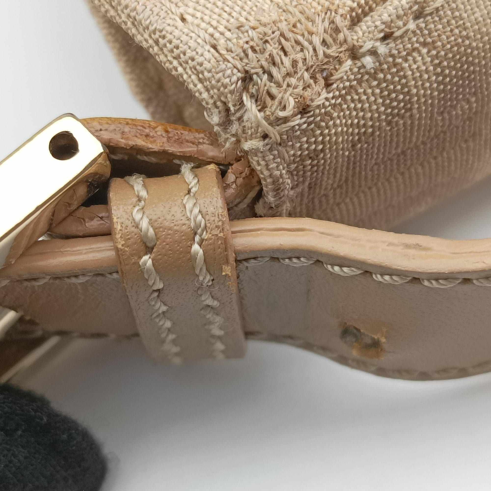 Zucchino Beige canvas 8BR036 2305/8BR036/LPN/058ズッキーノ柄 ベージュ キャンバス 8BR036 2305/8BR036/LPN/058