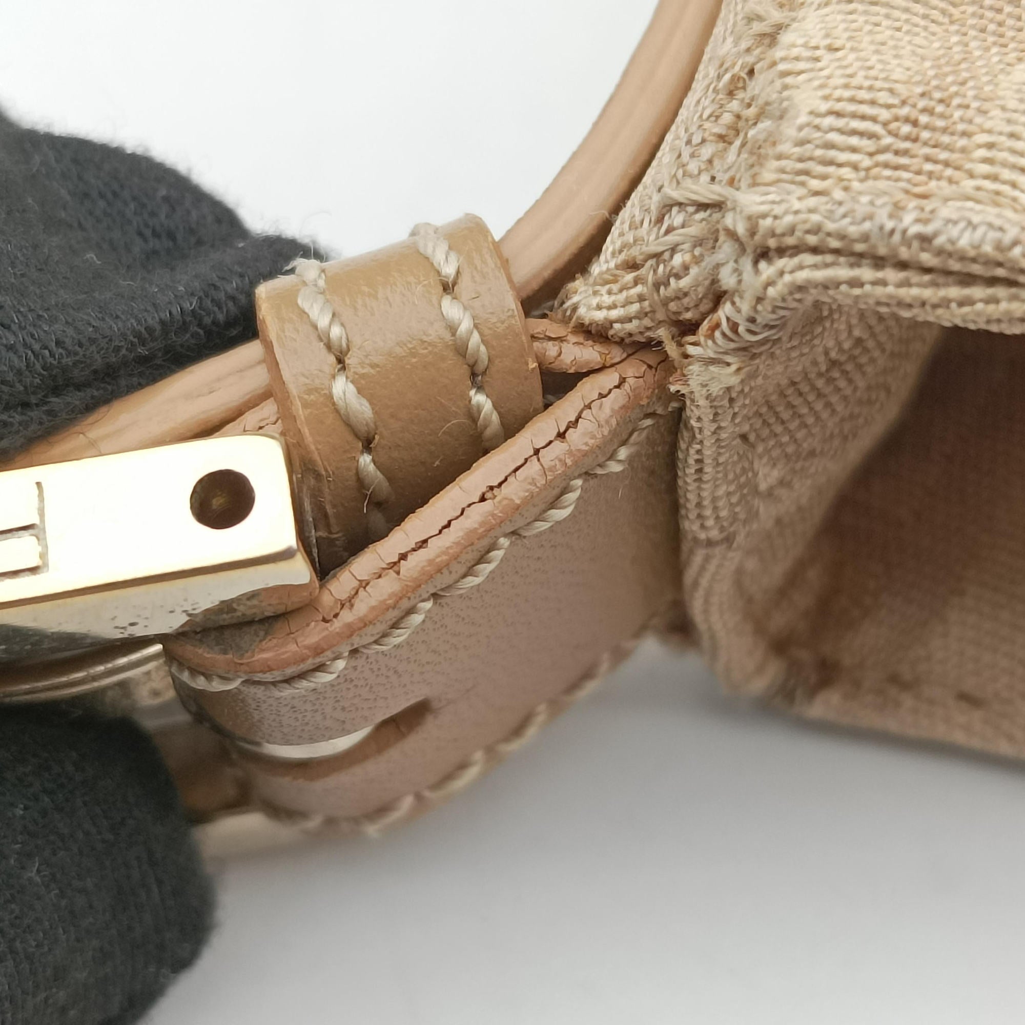 Zucchino Beige canvas 8BR036 2305/8BR036/LPN/058ズッキーノ柄 ベージュ キャンバス 8BR036 2305/8BR036/LPN/058