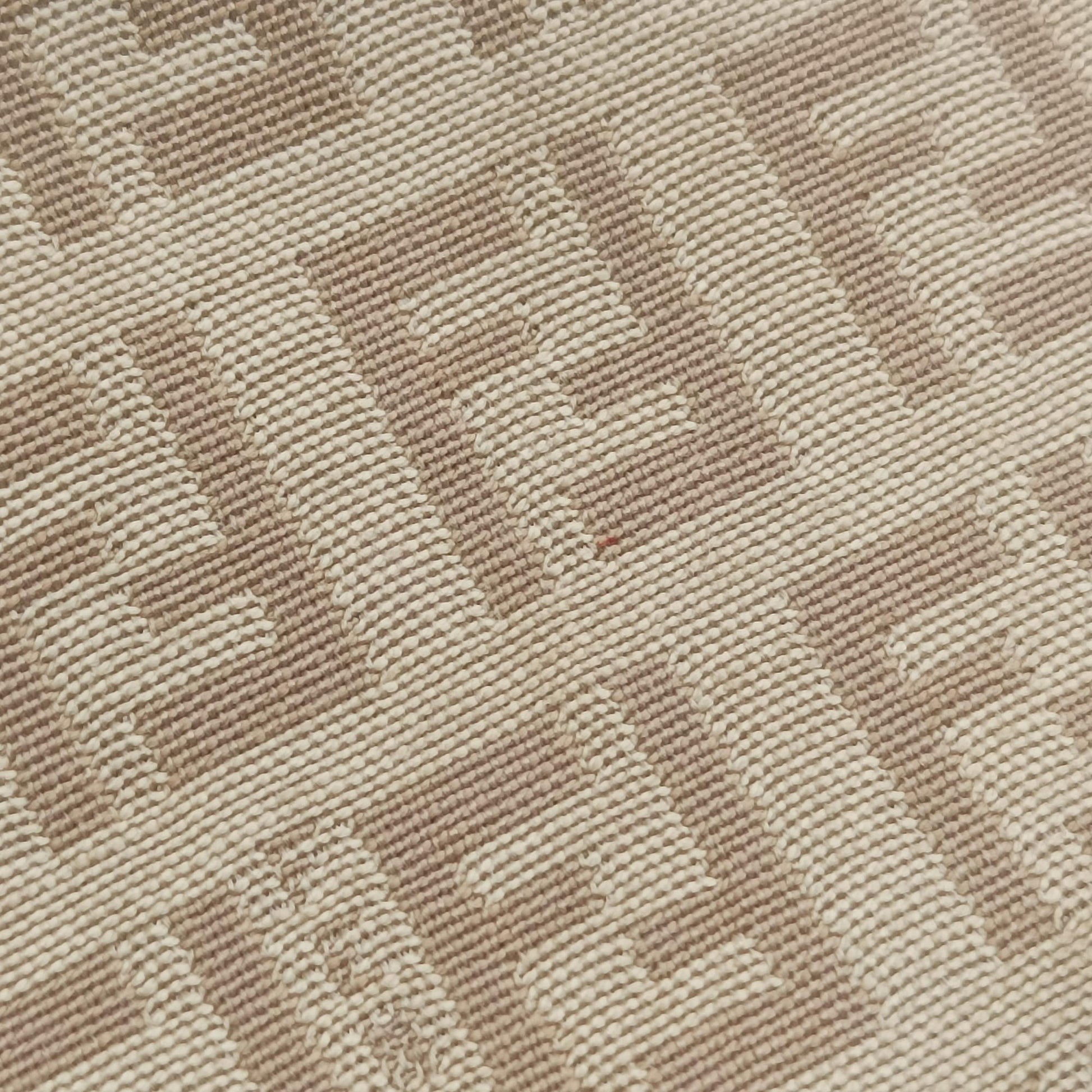Zucchino Beige canvas 8BR036 2305/8BR036/LPN/058ズッキーノ柄 ベージュ キャンバス 8BR036 2305/8BR036/LPN/058