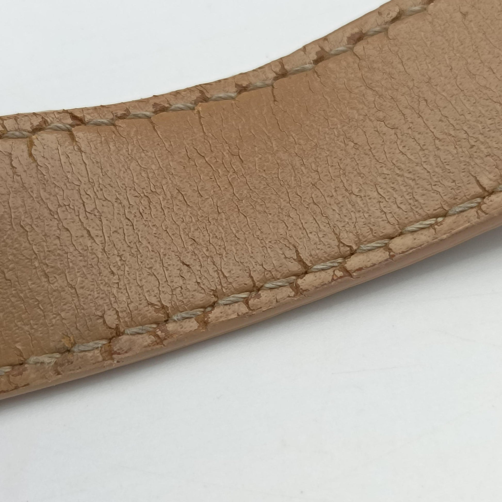 Zucchino Beige canvas 8BR036 2305/8BR036/LPN/058ズッキーノ柄 ベージュ キャンバス 8BR036 2305/8BR036/LPN/058