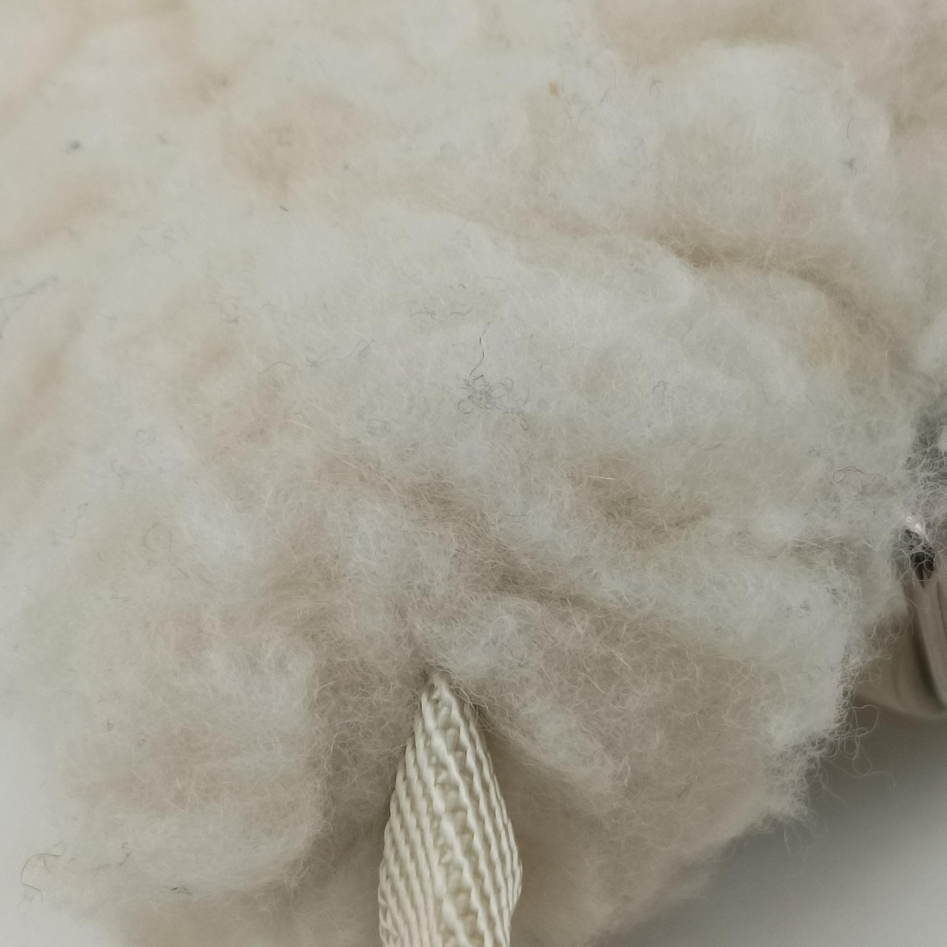 Re-Edition 2000 White Sheep Fur × Nylon Trims 1NE515 31/A3リエディション 2000 ホワイト シープファー × テスート 1NE515 31/A3