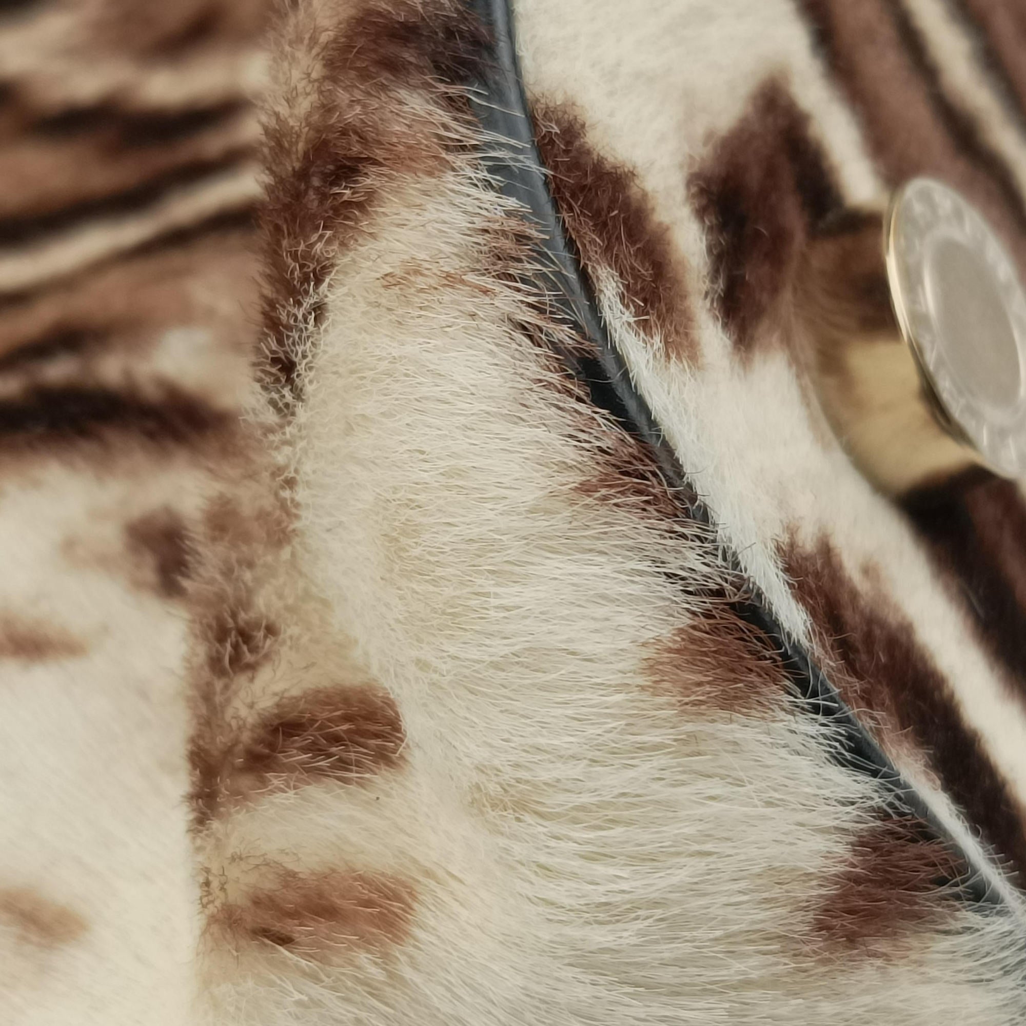 Leopard Print Black Leather× Fur 17763570レオパード 豹柄 ブラック レザー ×ファー 17763570