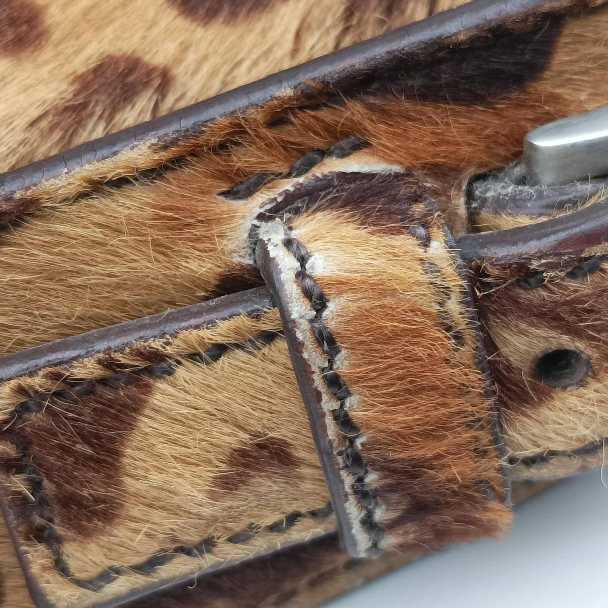 Leopard Print Brown×Multicolour ponyhair 31 24レオパード柄 ブラウン×マルチカラー ハラコ 31 24