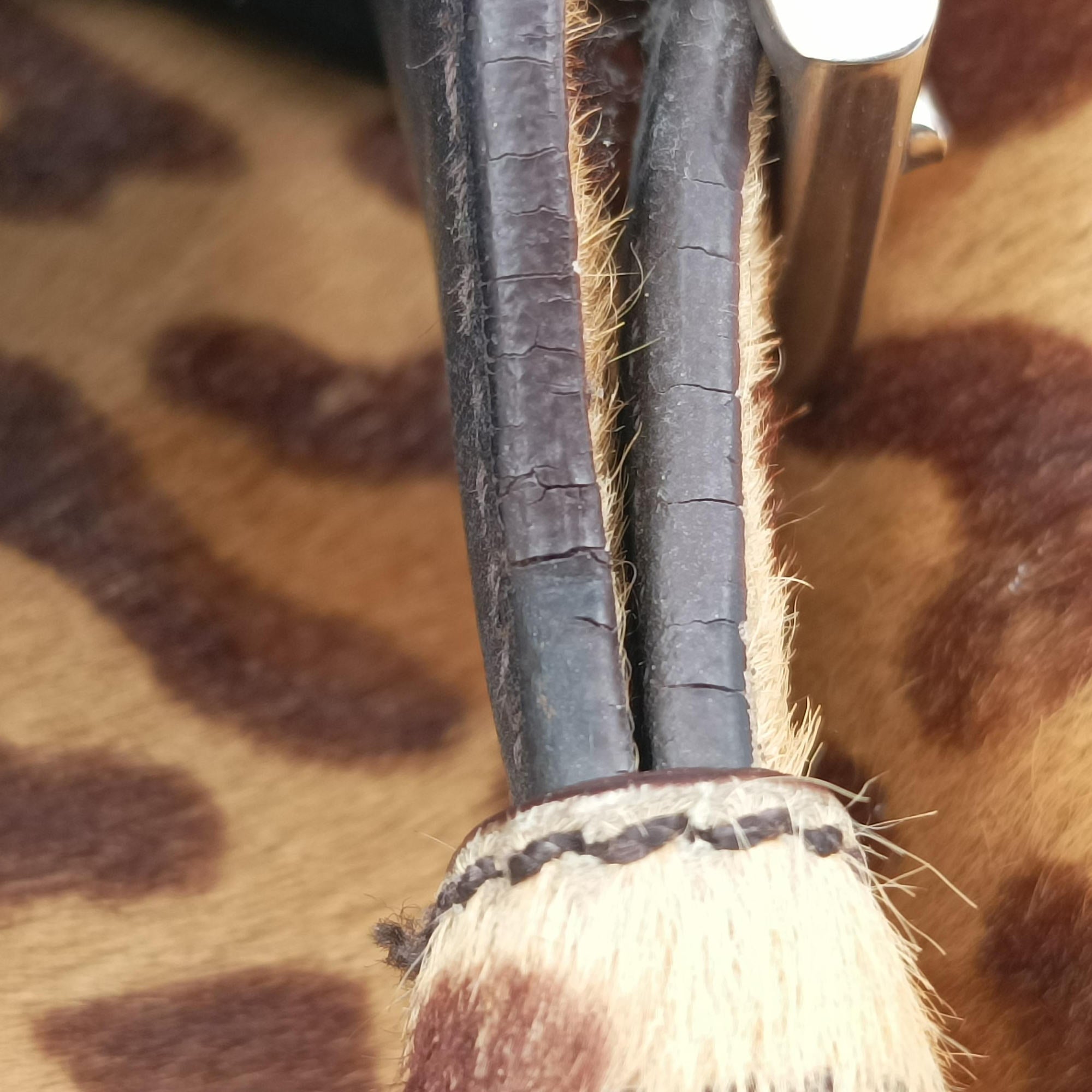 Leopard Print Brown×Multicolour ponyhair 31 24レオパード柄 ブラウン×マルチカラー ハラコ 31 24
