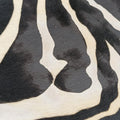 Zebra Print Black × White Ponyhair ゼブラ柄  ブラック × ホワイト ハラコ 