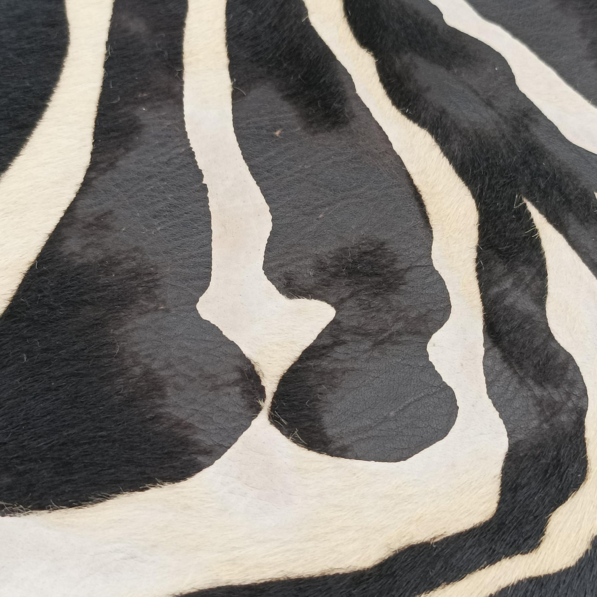 Zebra Print Black × White Ponyhair ゼブラ柄  ブラック × ホワイト ハラコ 