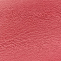 Microguccissima Red Leather 510289 E023878261マイクログッチシマ レッド レザー 510289 E023878261
