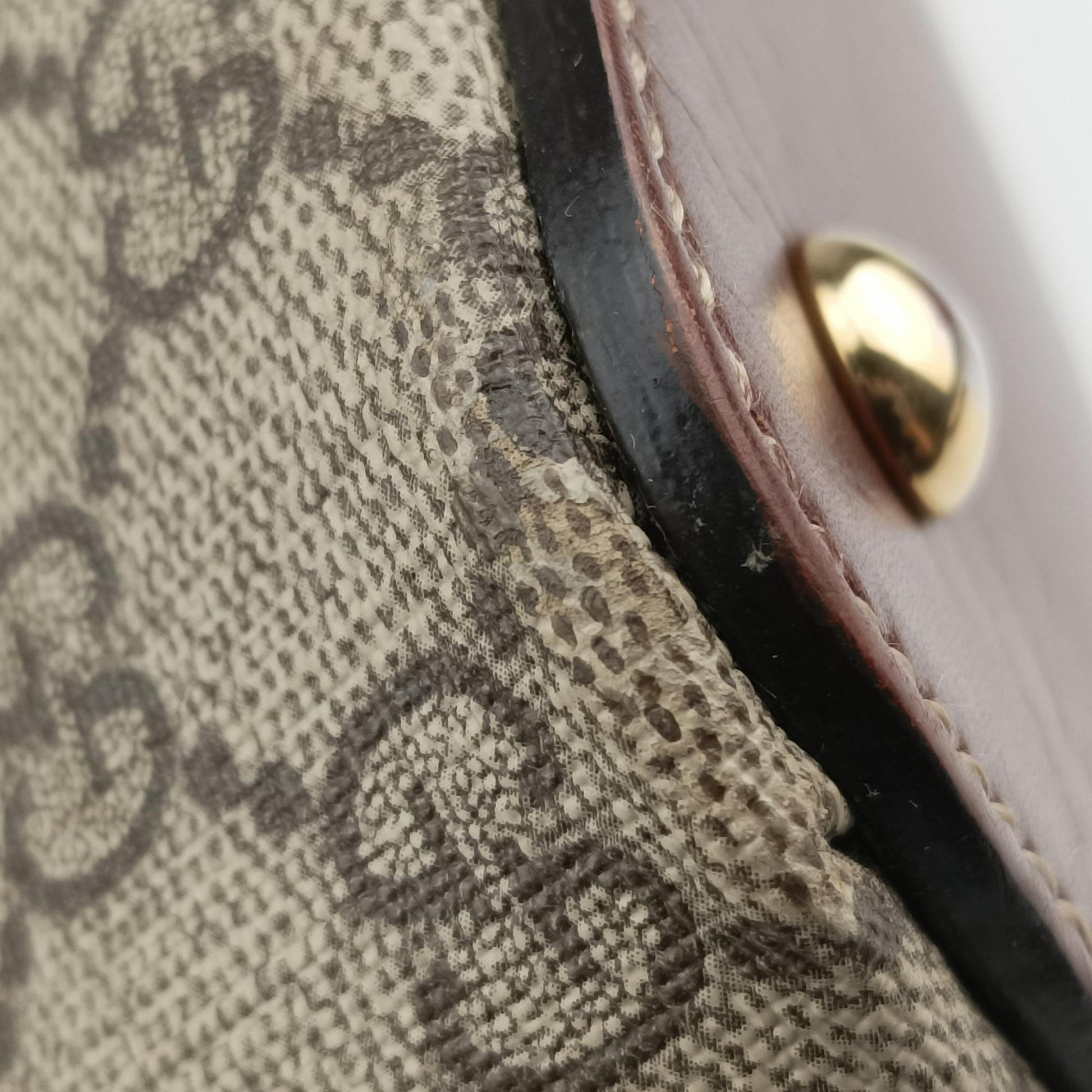 GG Blooms Brown PVC coated canvas 429147 G019926474GGブルームス ブラウン PVCコーティングキャンバス 429147 G019926474