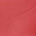 Emily Red Leather 283063 A010825236エミリー レッド レザー 283063 A010825236