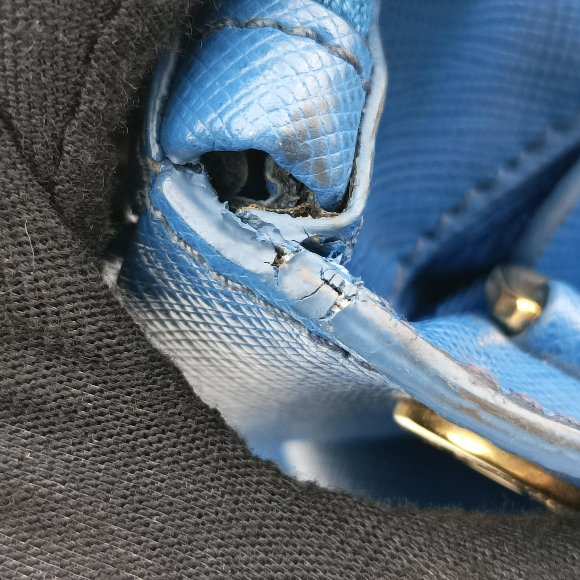Galleria Blue SAFFIANO Leather BN2274 103ガレリア ブルー サフィアーノレザー BN2274 103