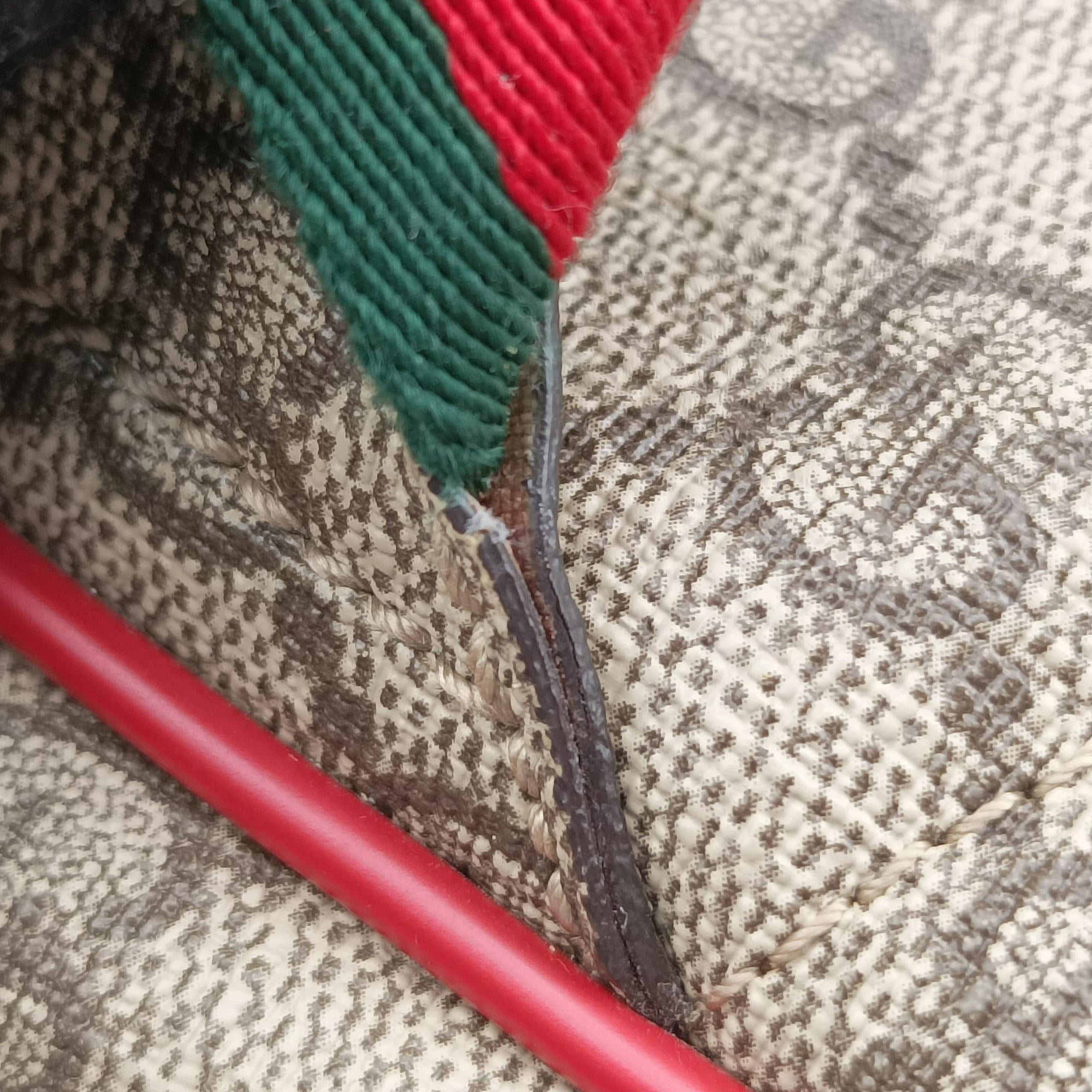 GG Supreme Tian Multicolour PVC coated canvas 427042 A020486382GGスプリームティアン マルチカラー PVCコーティングキャンバス 427042 A020486382
