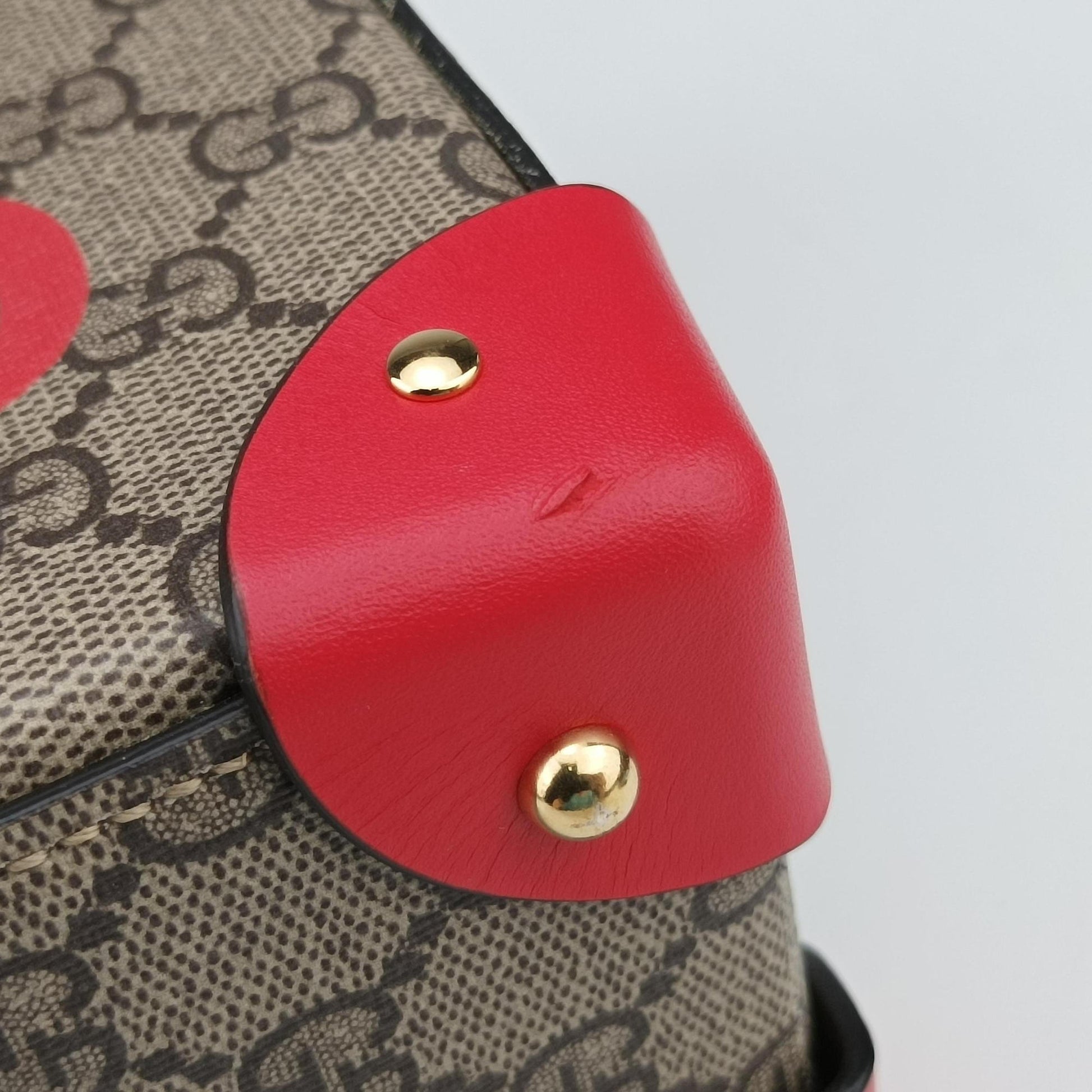 GG flora Padlock Bamboo Brown × Red PVC coated canvas×leather 603221 I037029936GGアップル パドロック バンブー ブラウン × レッド PVCコーティングキャンバス×レザー 603221 I037029936