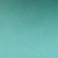 BOY CHANEL Green Leather A67085 21511269ボーイシャネル グリーン レザー A67085 21511269
