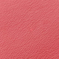 PEEKABOO MEDIUM Red Leather 8BN290 8BN290-3ZN-169-10429ピーカブー ミディアム レッド レザー 8BN290 8BN290-3ZN-169-10429