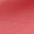 PEEKABOO MEDIUM Red Leather 8BN290 8BN290-3ZN-169-10429ピーカブー ミディアム レッド レザー 8BN290 8BN290-3ZN-169-10429