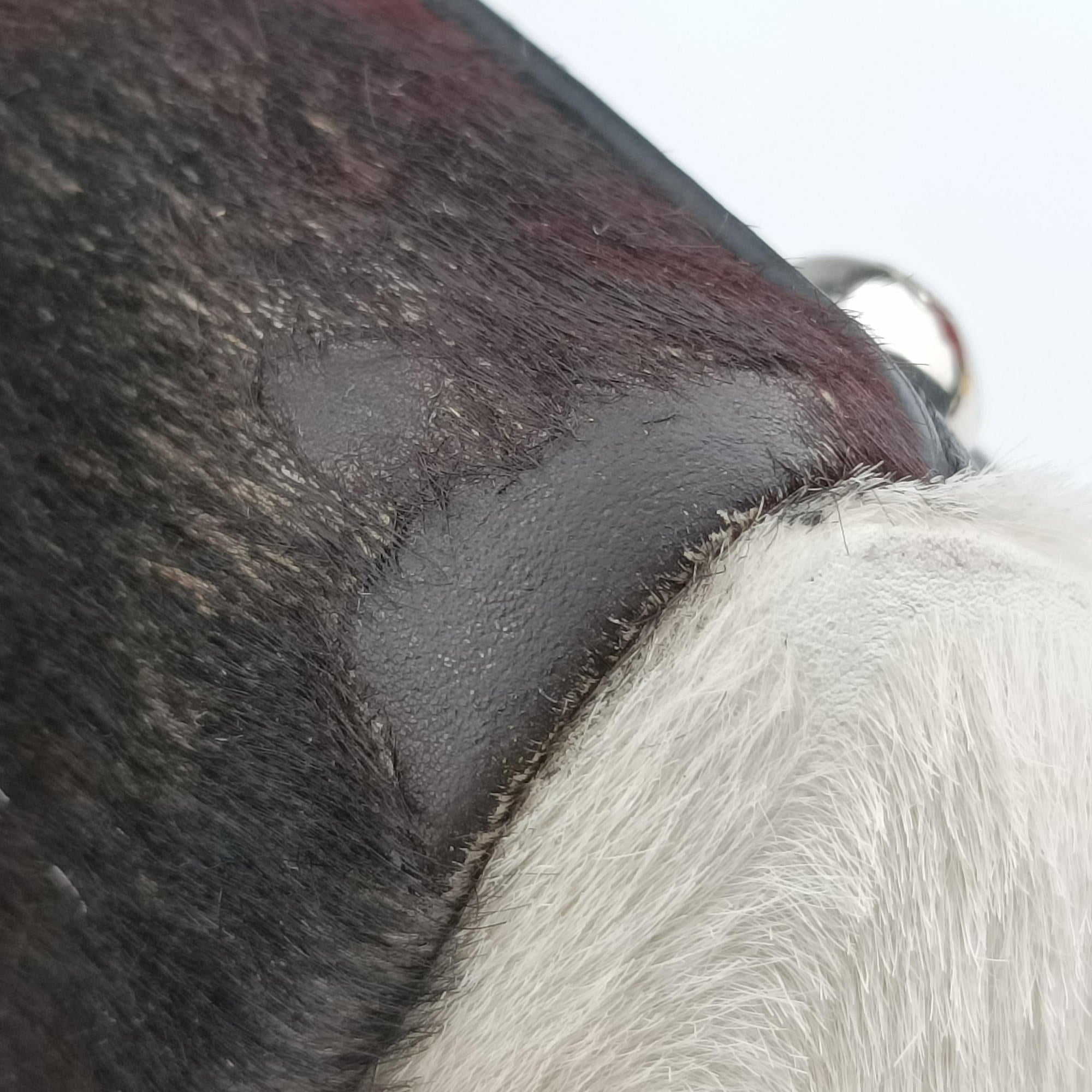 2 JOURS White pony hair 8BH250 8BH250-L6M 139-2372トゥージュール ホワイト ハラコ 8BH250 8BH250-L6M 139-2372