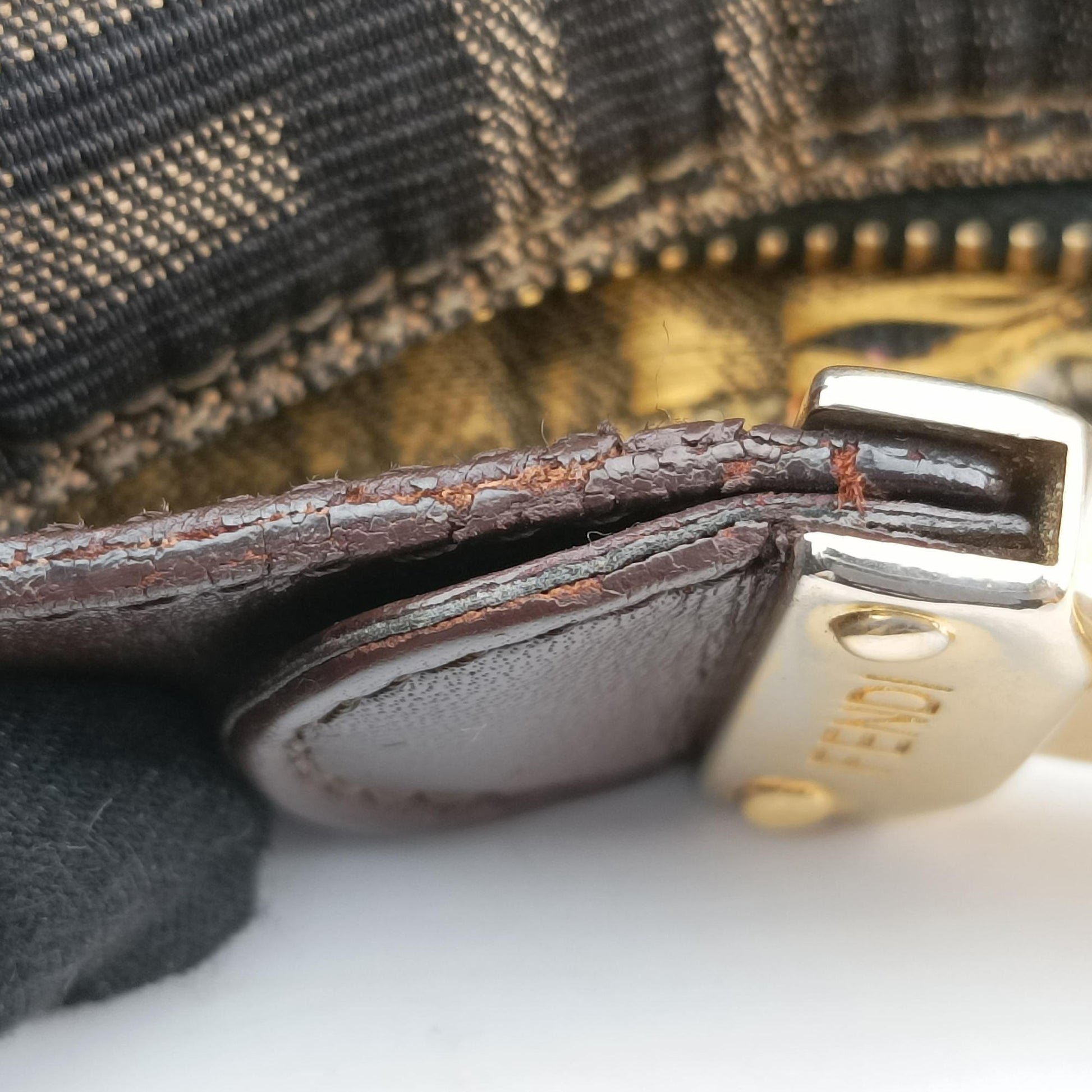 Zucca Print Brown canvas Lot number unknownズッカ プリント ブラウン キャンバス 製番不明