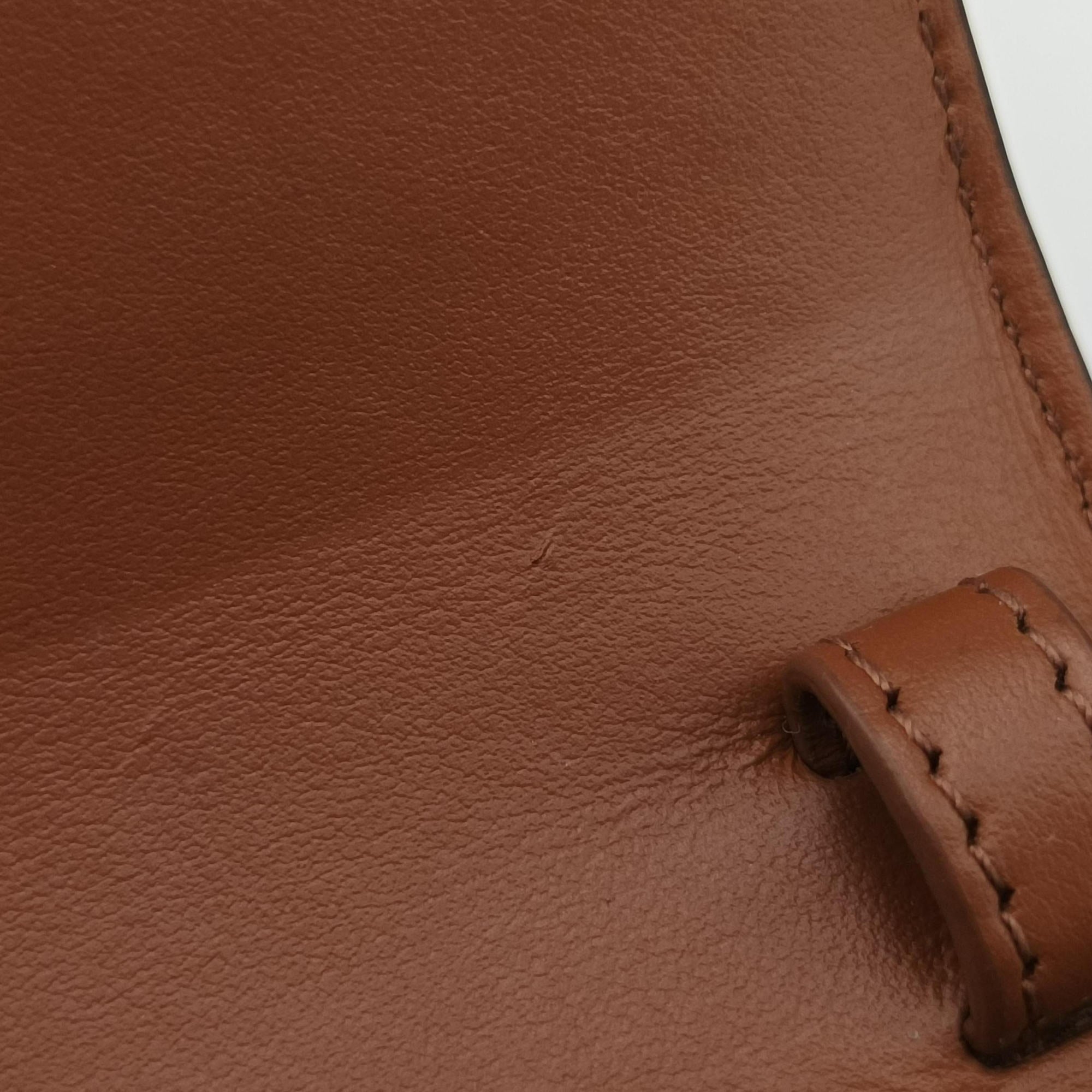 Mini Triomphe Brown PVC coated canvas S-RG-4252ミニトリオンフ ブラウン PVCコーティングキャンバス S-RG-4252