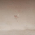 Josephine PM Cherry Monogram Mini Canva M92314 VI0072ジョゼフィーヌPM チェリー モノグラム・ミニキャンバス M92314 VI0072