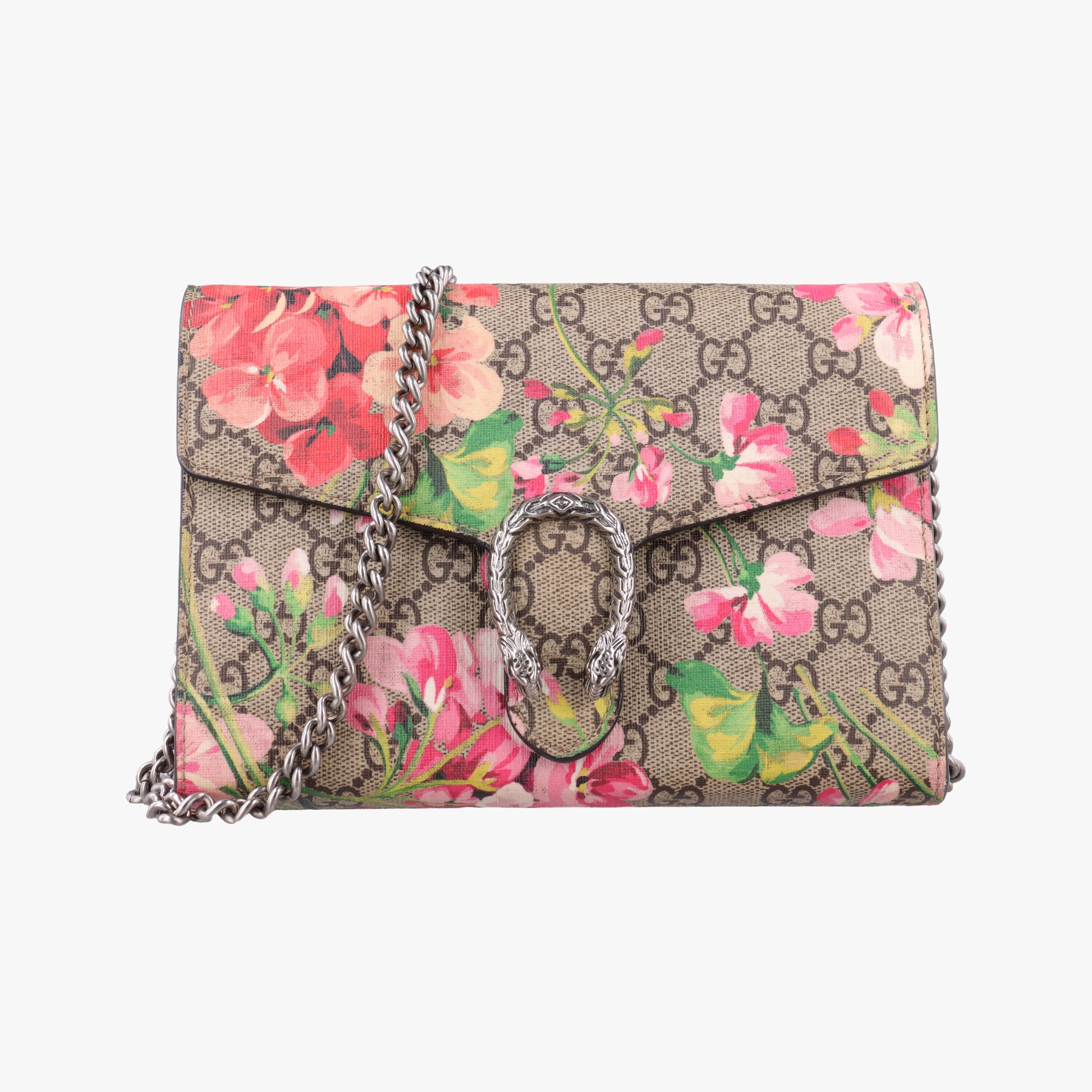 Dionysus Multicolour PVC coated canvas 401231 ディオニュソス マルチカラー PVCコーティングキャンバス 401231 