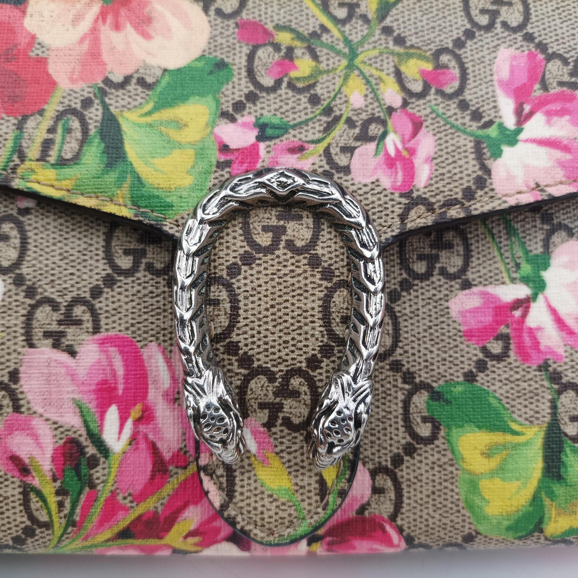 Dionysus Multicolour PVC coated canvas 401231 ディオニュソス マルチカラー PVCコーティングキャンバス 401231 