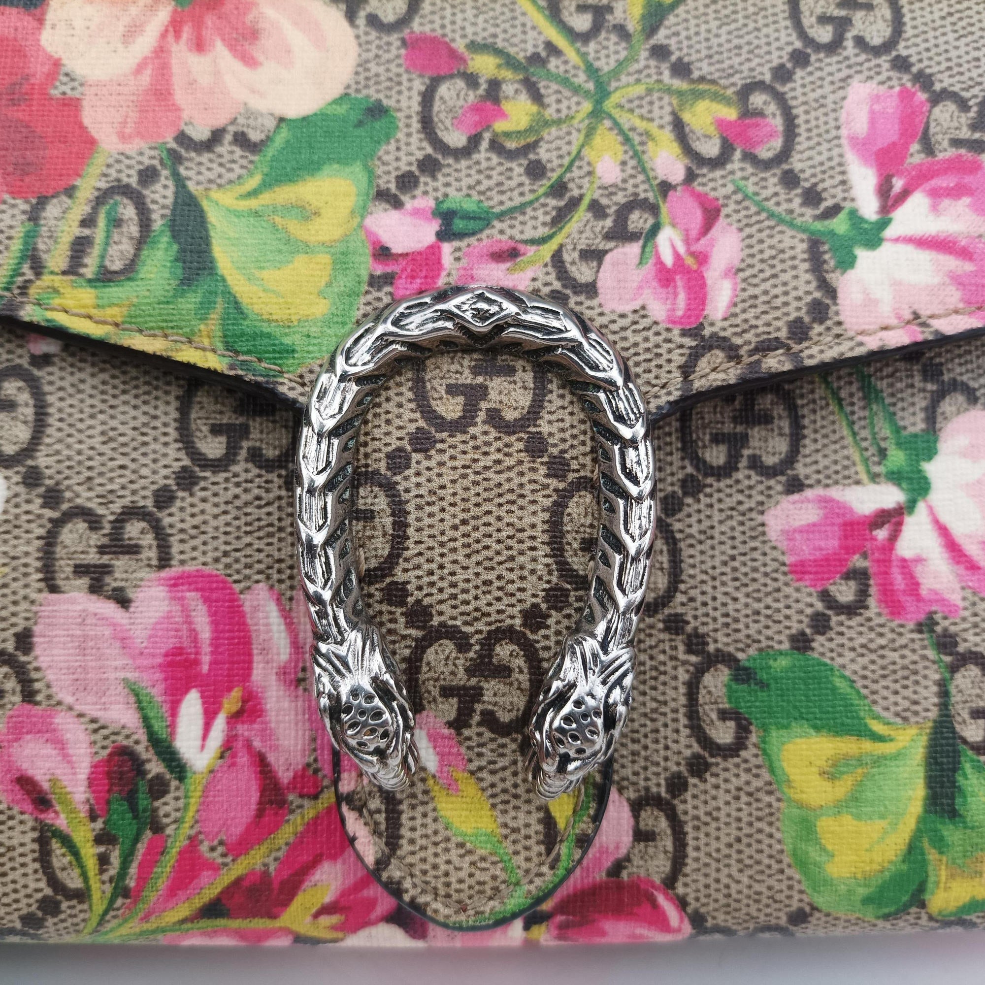 Dionysus Multicolour PVC coated canvas 401231 ディオニュソス マルチカラー PVCコーティングキャンバス 401231 