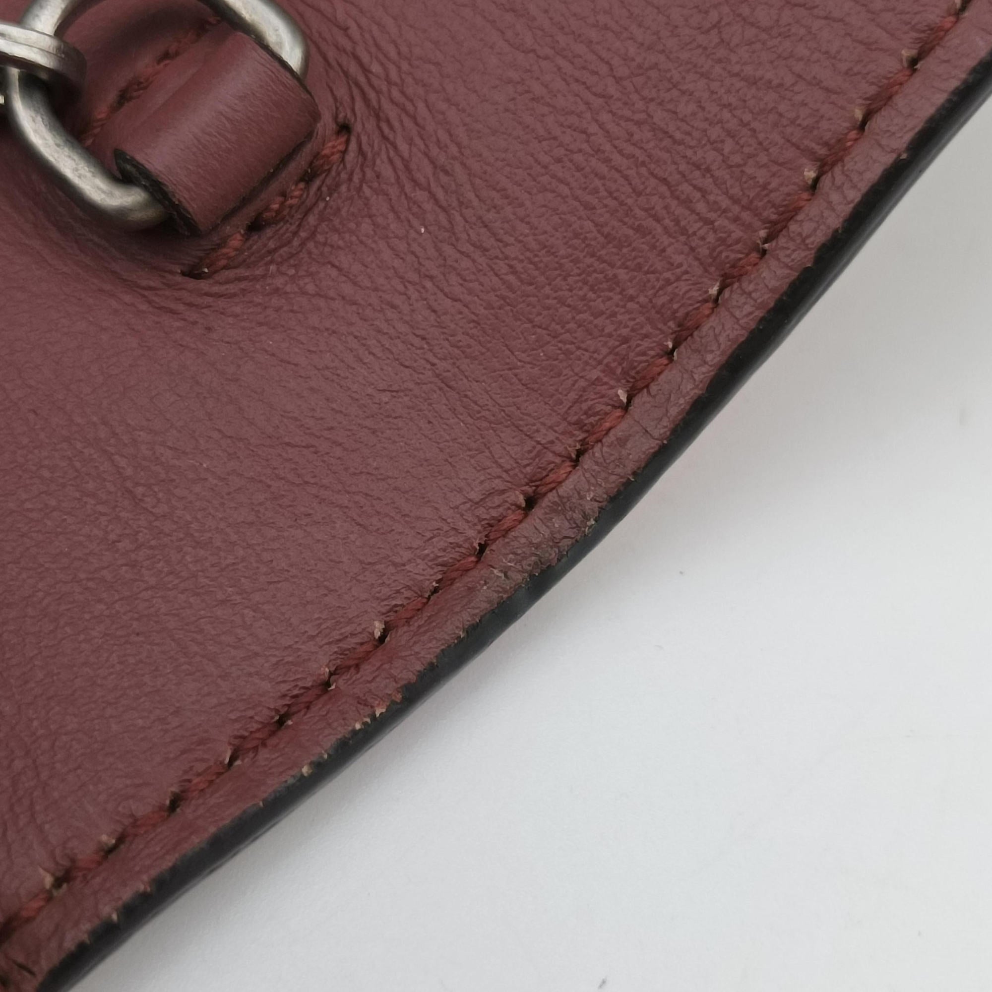 Dionysus Multicolour PVC coated canvas 401231 ディオニュソス マルチカラー PVCコーティングキャンバス 401231 