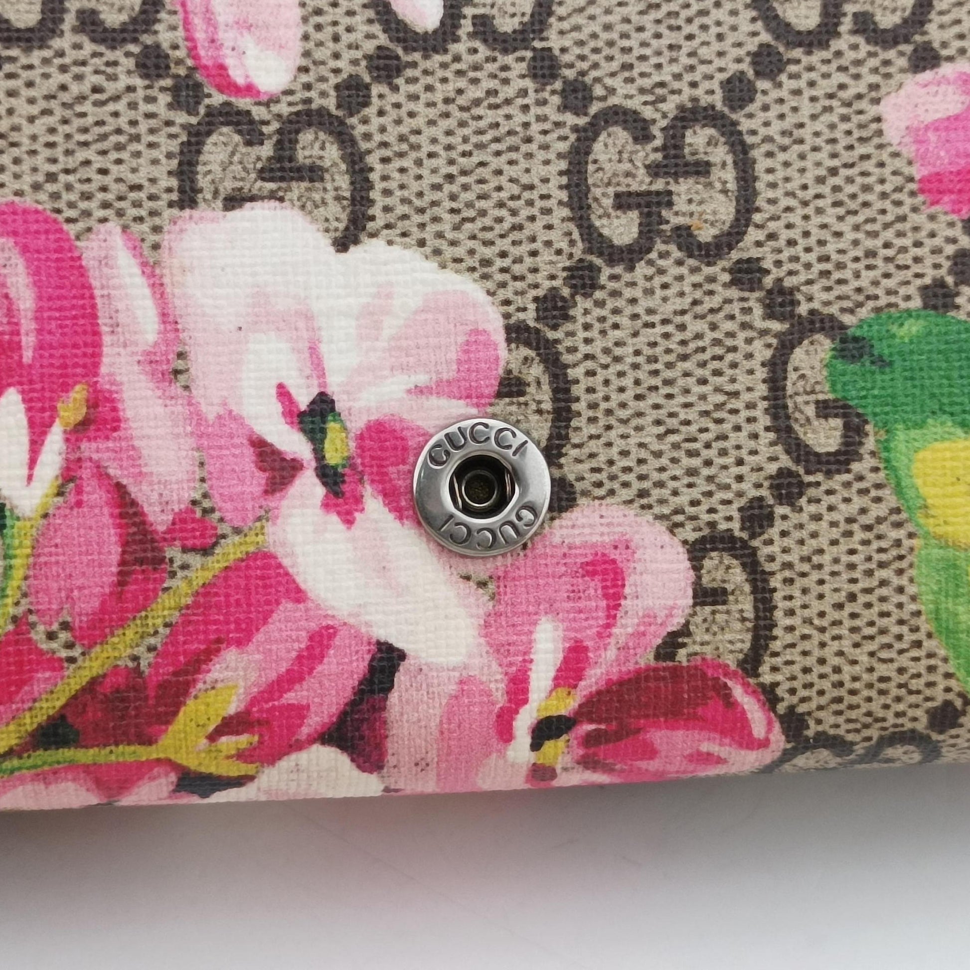Dionysus Multicolour PVC coated canvas 401231 ディオニュソス マルチカラー PVCコーティングキャンバス 401231 