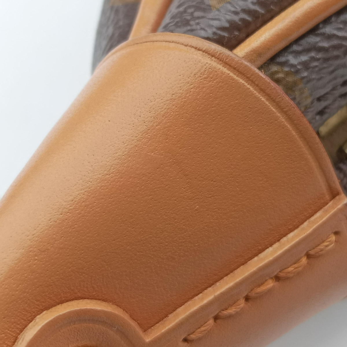 LOOP Brown×Beige Monogram Canvas M81098 IC Chipループ モノグラム/ブラウン×ベージュ モノグラムキャンバス M81098 ICチップ