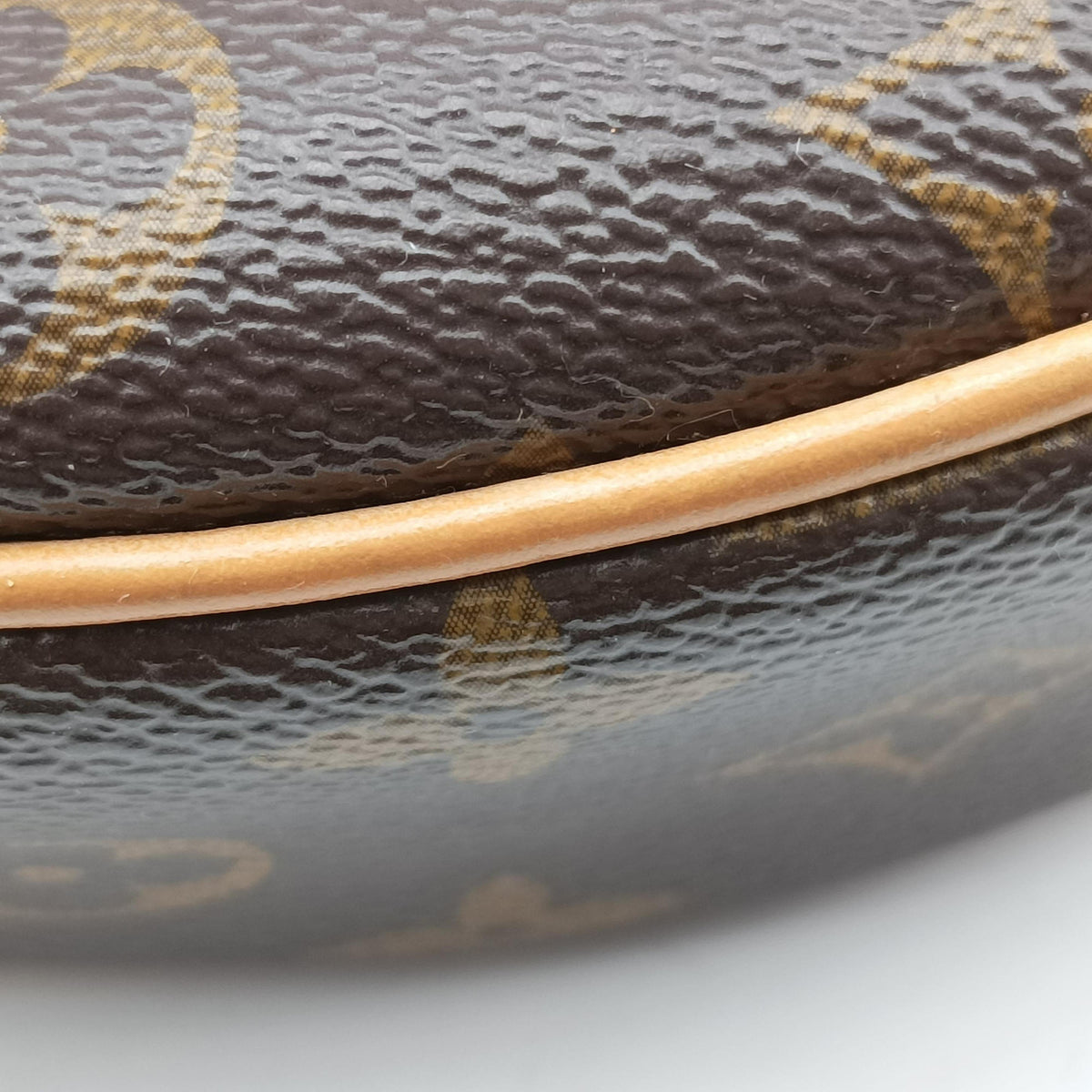 LOOP Brown×Beige Monogram Canvas M81098 IC Chipループ モノグラム/ブラウン×ベージュ モノグラムキャンバス M81098 ICチップ