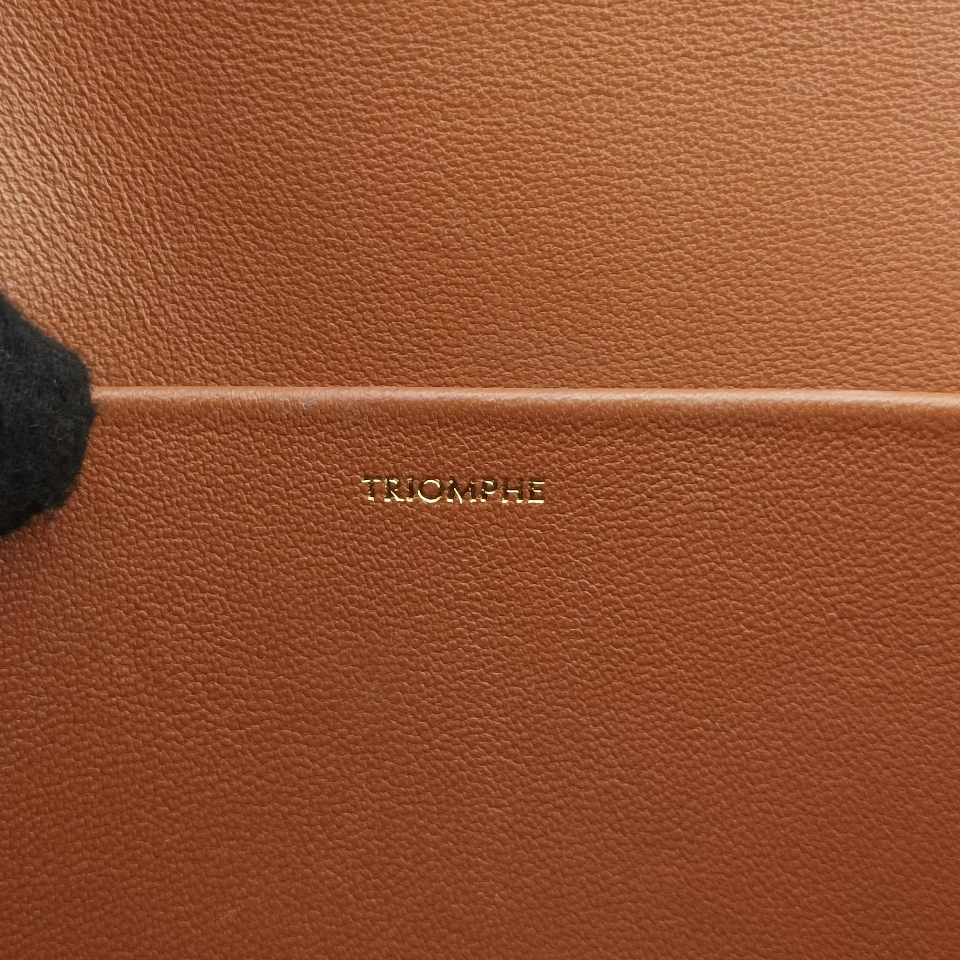 TRIOMPHE Brown PVC coated canvas F-CE-1201トリオンフ ブラウン PVCコーティングキャンバス F-CE-1201