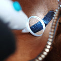 Rockstud Glam Lock Orange Leather BS-G312VLX3ロックスタッズ グラムロック スモール オレンジ レザー BS-G312VLX3