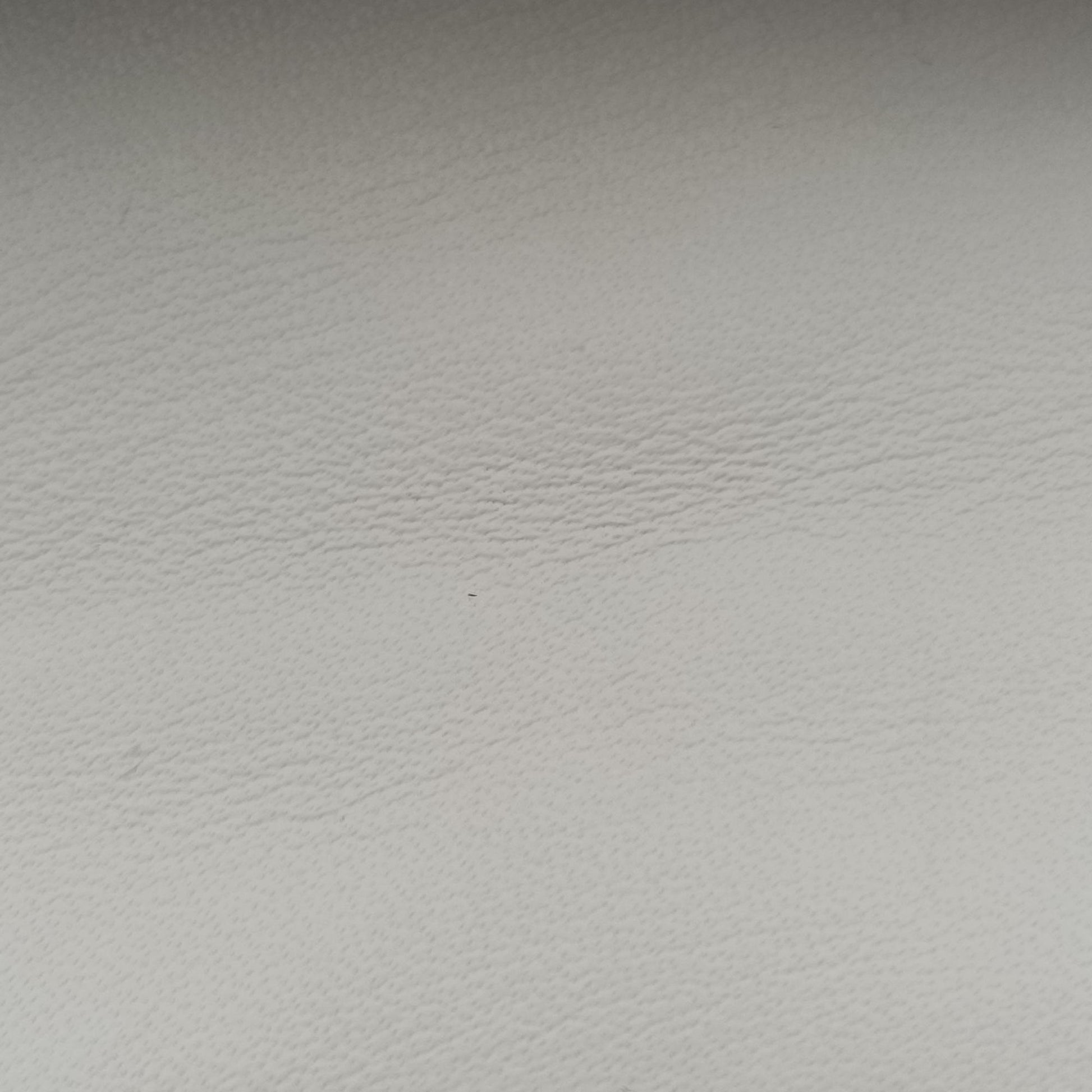 Caro micro White Leather IC Chipカロ マイクロ ホワイト レザー ICチップ