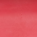 Sylvie Red Leather 421882 E020457900シルヴィ レッド レザー 421882 E020457900